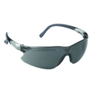 JAC-3000306 GLASSES VISIO SLV/SMK FOGLS