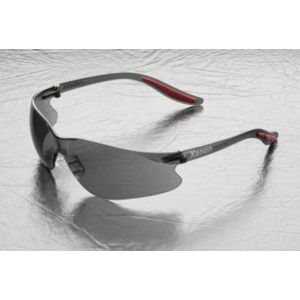 ELV-GLASSES XENON GRY/GRY